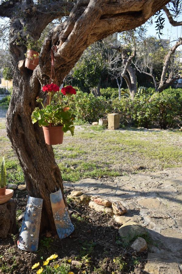 فيلا Casa Dell'Olio - Al Baglio باشيكو المظهر الخارجي الصورة
