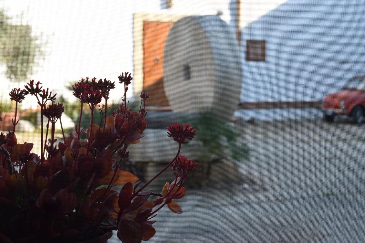 فيلا Casa Dell'Olio - Al Baglio باشيكو المظهر الخارجي الصورة
